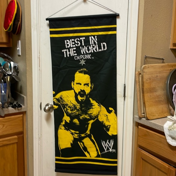 CM Punk Wrestling Banner RARE - Picture 2 of 4
